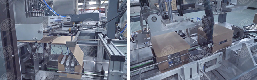 全自動(dòng)一片式裝箱機(jī)-5 全自動(dòng)一片式裝箱機(jī)-5